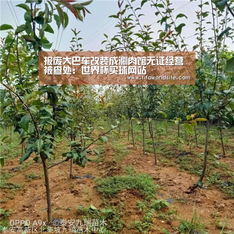 世界杯买球网站