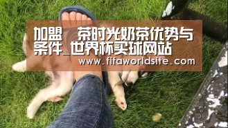 世界杯外围买球